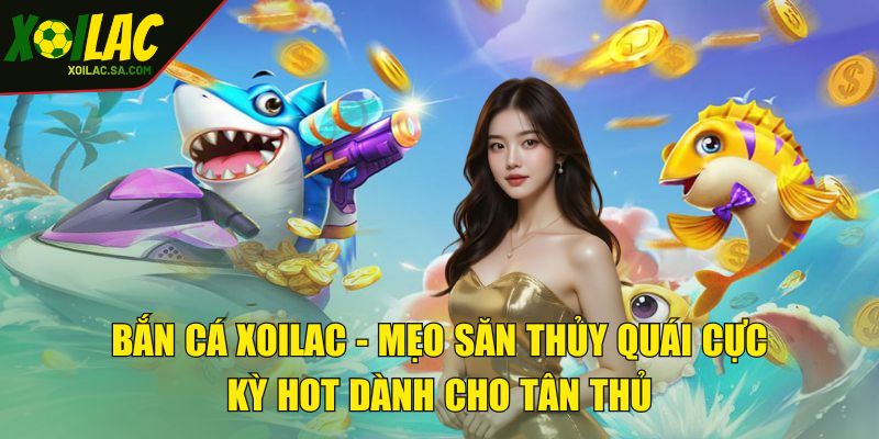 Bắn cá XOILAC - Mẹo săn mồi lớn cực kỳ hot dành cho tân thủ