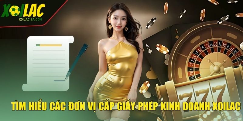 Giấy Phép Kinh Doanh XOILAC - Minh Chứng Của Sự Uy Tín 2 Tìm hiểu các đơn vị cấp giấy phép kinh doanh XOILAC