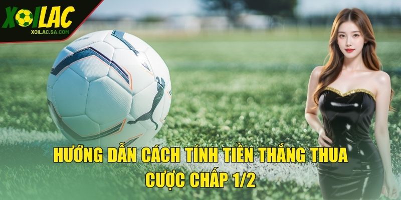 Hướng dẫn cách tính tiền thắng thua cược chấp 1/2