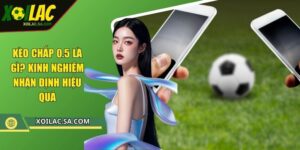 Kèo Chấp 0.5 Là Gì? Kinh Nghiệm Nhận Định Hiệu Quả