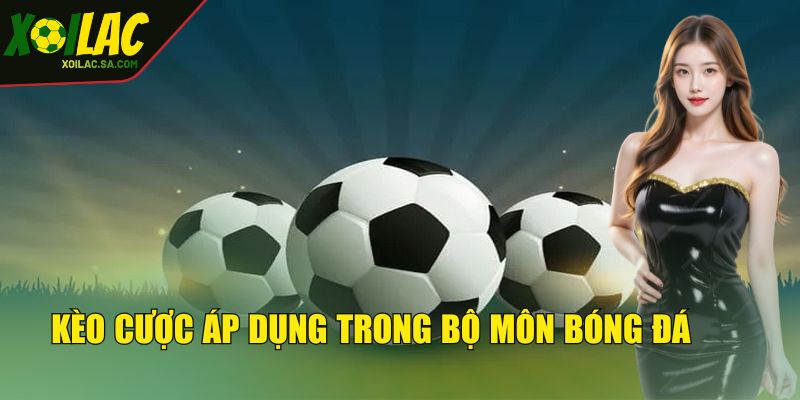 Bóng Đá Ảo - Loại Hình Tạo Nên Sự Tiện Lợi, An Toàn 5 Kèo cược áp dụng trong bộ môn bóng đá