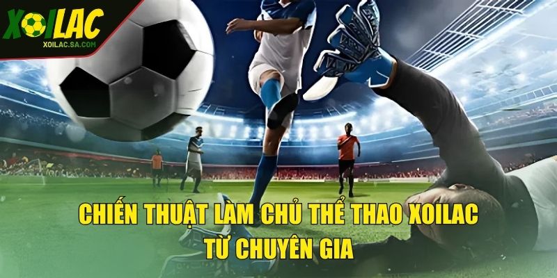 Chiến thuật làm chủ thể thao XOILAC từ chuyên gia